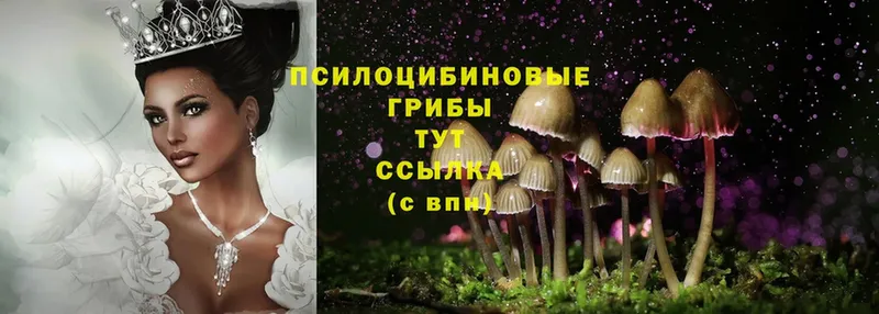 Псилоцибиновые грибы Magic Shrooms  Биробиджан 